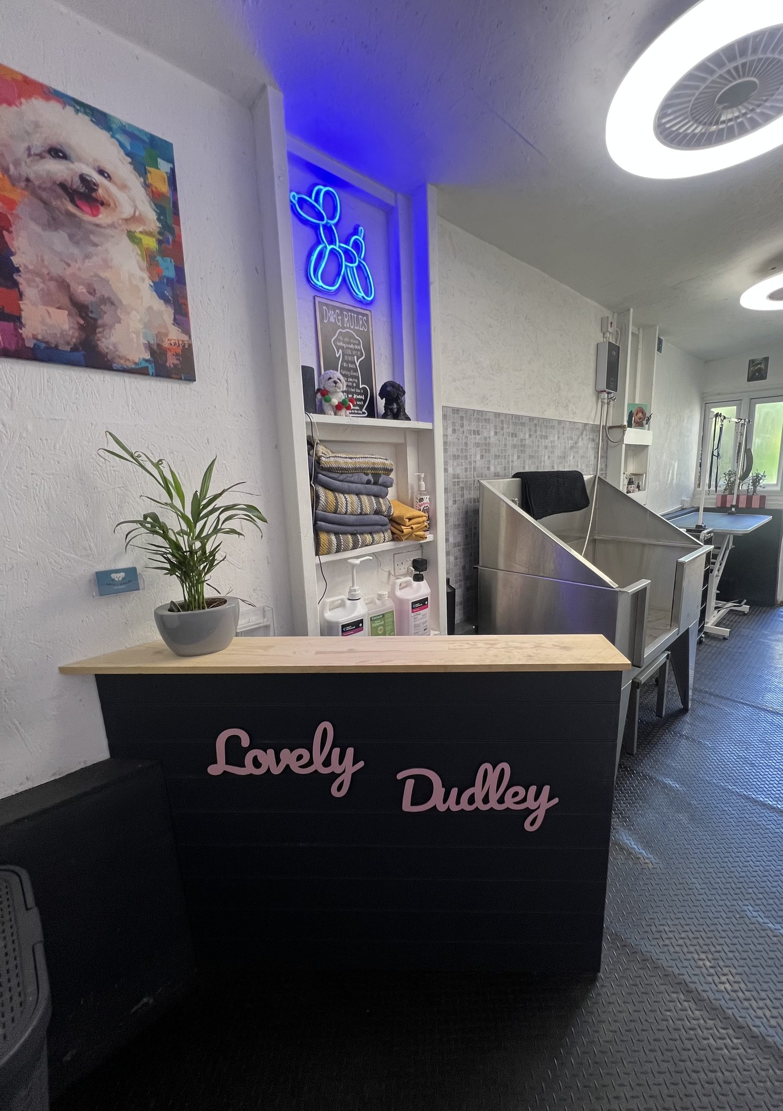 Inside the Lovely Dudley grooming salon
